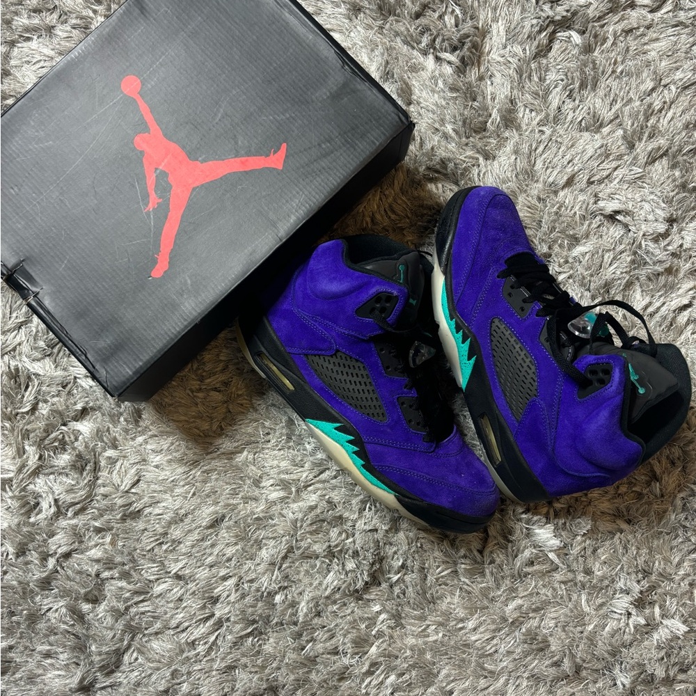Jordan 5 “Alternate Grape” Size 10.5